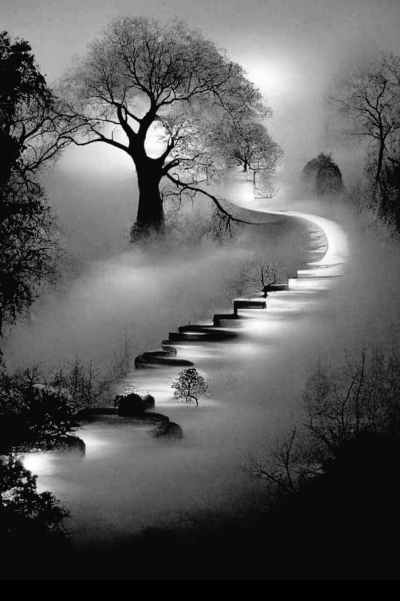 #سطام_فيحان_الكتفاء
الحياة قصيره والموت في كل يوم يقترب من الإنسان استعدوا له بصدقه خفيه أو تسبيح وتهليل أو صلاه في جوف الليل بروا والديكم و سامحوا واعفوا فلا تدري متى يكون رحيلك …

اللهم ارحم موتانا وموتى المسلمين 🦋