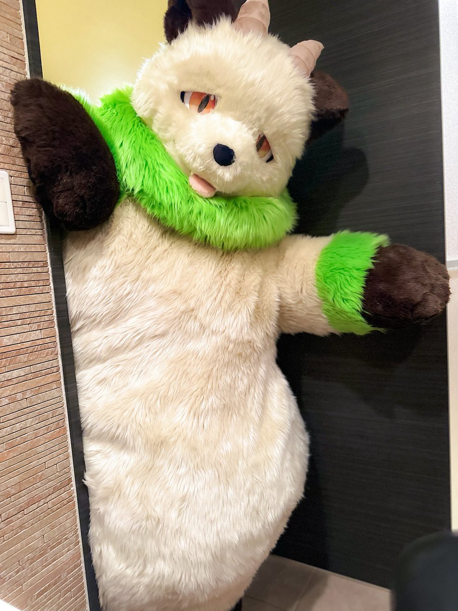 #顔をヒョコっと出しとけば大体可愛い
た、助けて〜💦