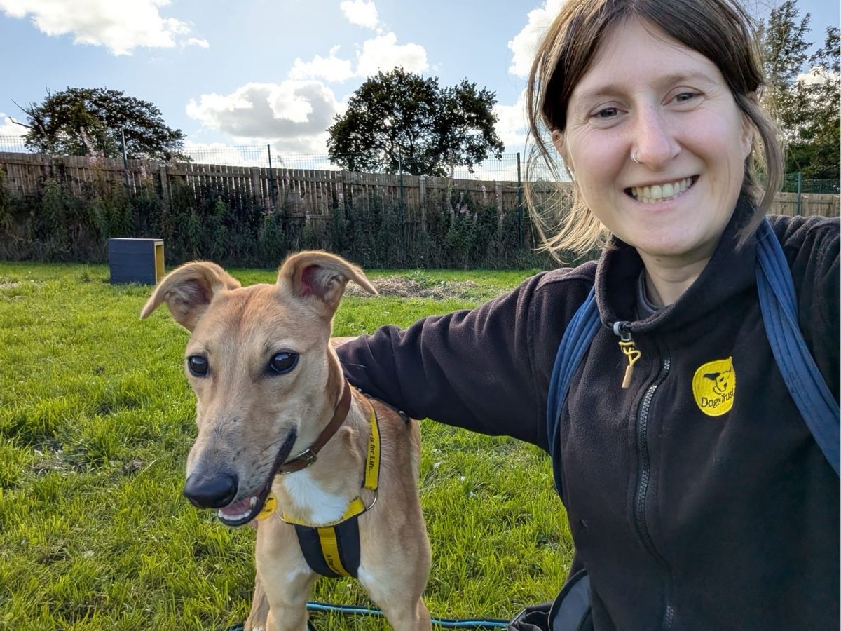 DT_WestCalder's tweet photo. Nessie wants to say hello!💛🐾 This lovely girl hasn't had the easiest start to life as she came to us as a stray, therefore we don't have very much of a background on her🥺 We do know that she is a shy girl who can be overwhelmed by the world but she has been working very hard with the training team on building up some confidence💪 She can happily pass other polite dogs when out on her walks but she would love to be the only pet in the home!🐕‍🦺

Nessie would really benefit from an adult only home who have had experience with worried dogs. Add her to your favourites today to get the adoption process rolling👉 https://t.co/KEpV8VLI58

@dogstrust
#dogstrustwestcalder
#adoptdontshop
#adogisforlife
