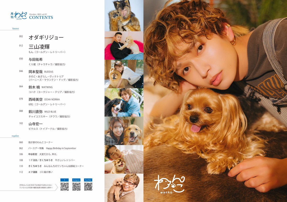 身代わり毛玉幻獣 張り子犬 銀鈴 ないちゃん🐰 on X: 