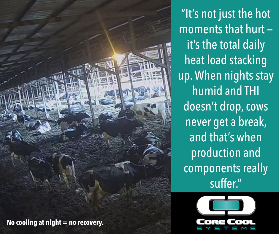 Even when the sun goes down, cows may not catch a break.Sure, the temp drops — but humidity often rises. That means the THI stays high for hours, and cows continue to accumulate heat load throughout the night.
The result? They never recover. Full article - buff.ly/040naGA