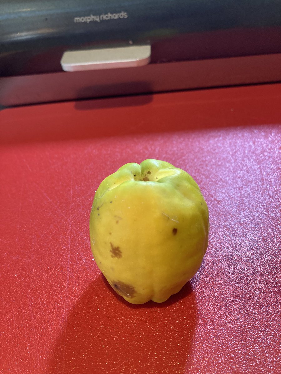 Hugh Bryant 💙🧡 tweet media