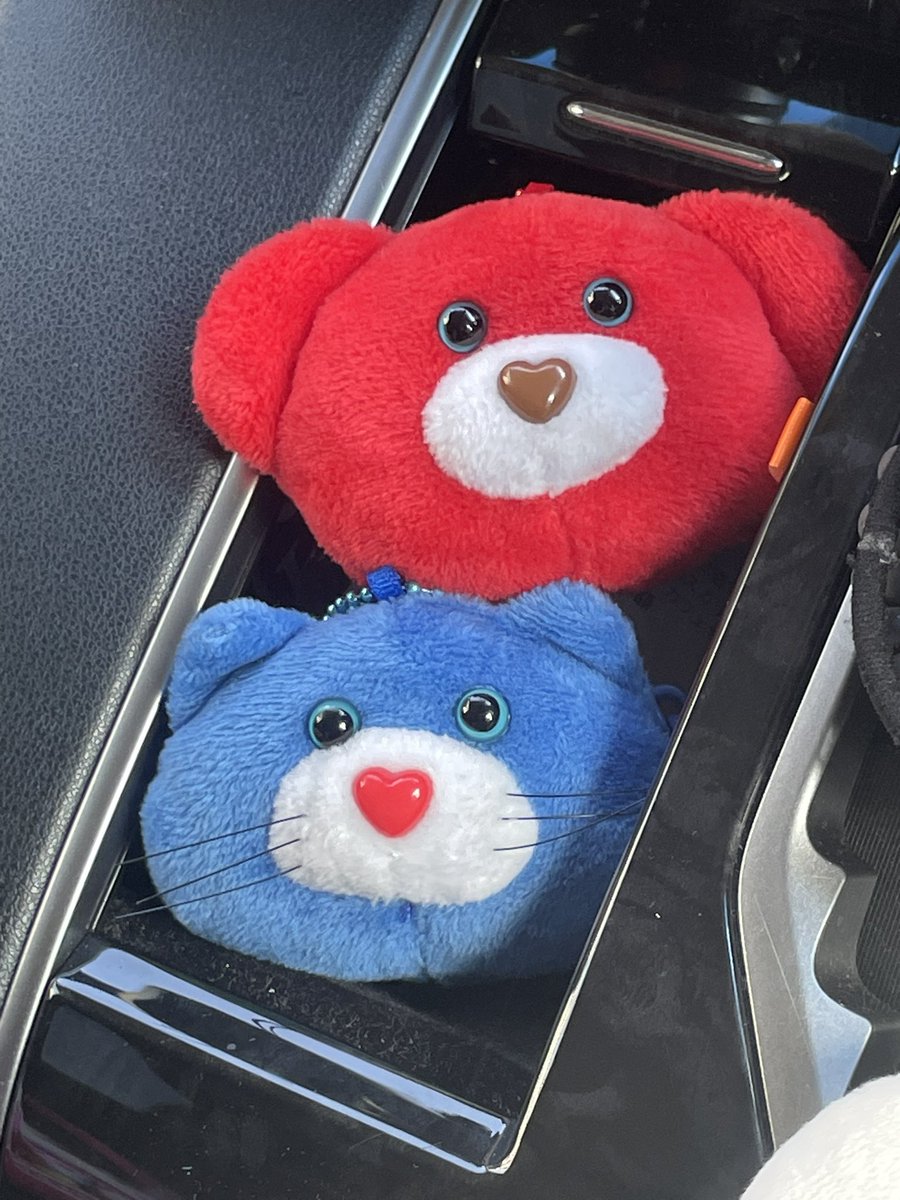 チャッピー (@kupikupikupi516) / Posts / X