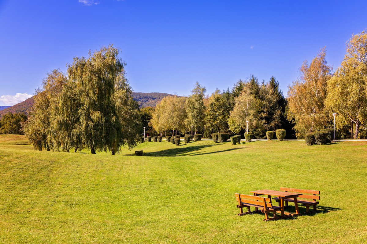 PlitviceLakesNP's tweet photo. Autumn is slowly coming! 🍂 Experience camping at Korana Campsite, enjoy a varied buffet breakfast, and relax near the stunning Plitvice Lakes. 🏕☕ 
Book now 👉 https://t.co/8WiUVRfoSK https://t.co/qQxngIiQH9