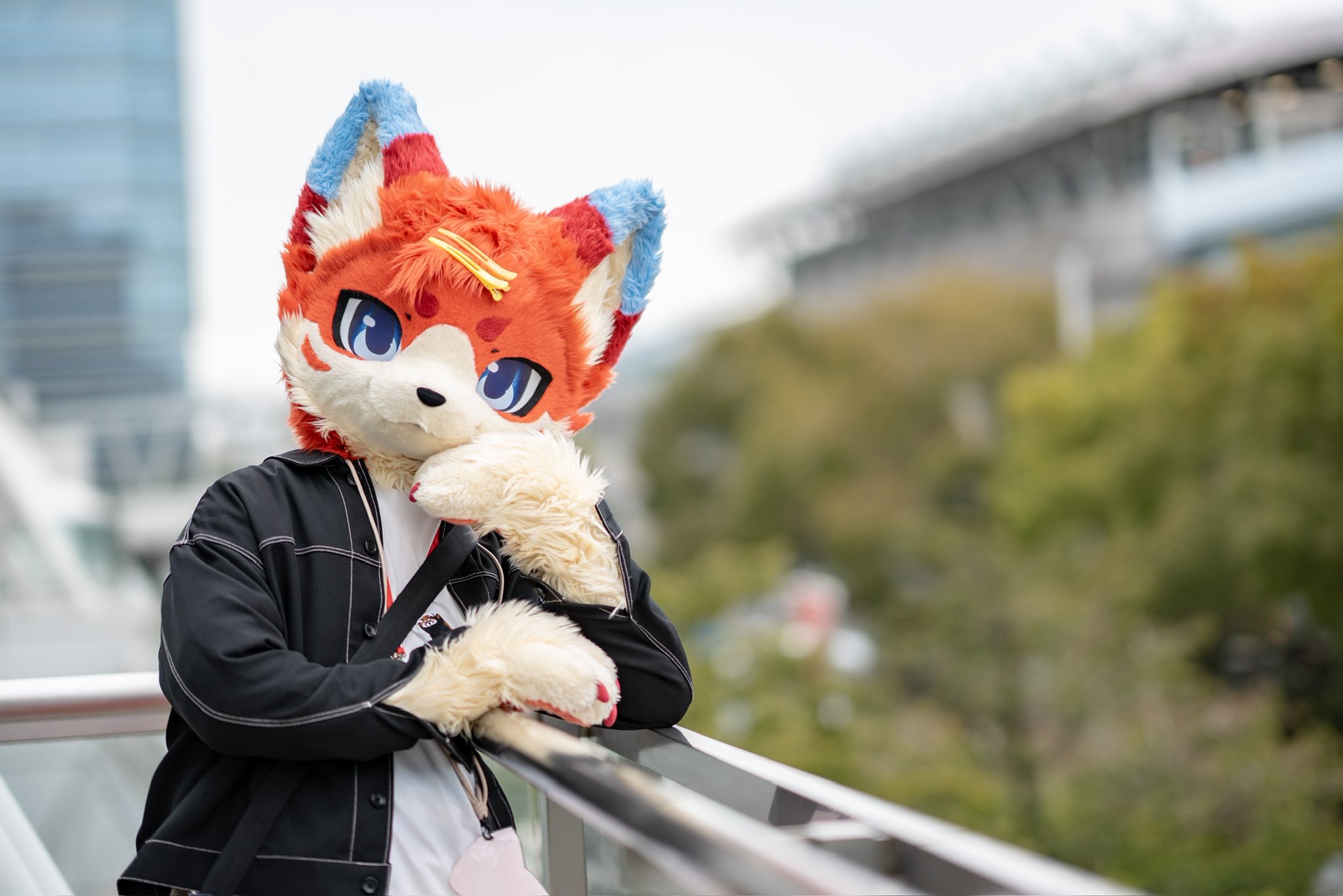やーさん (@yasan_mofumofu) / X