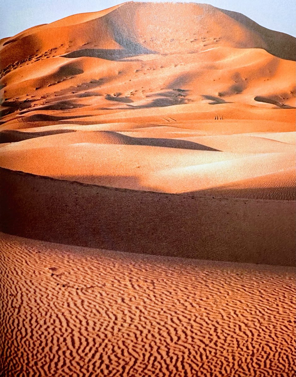 كما العيون اقلام اللغات أسطورة

صدفة تعيد الأمل للقلب

صورة تجيد الذكريات

للملفّات أيقونة

#هاشم_ذياب