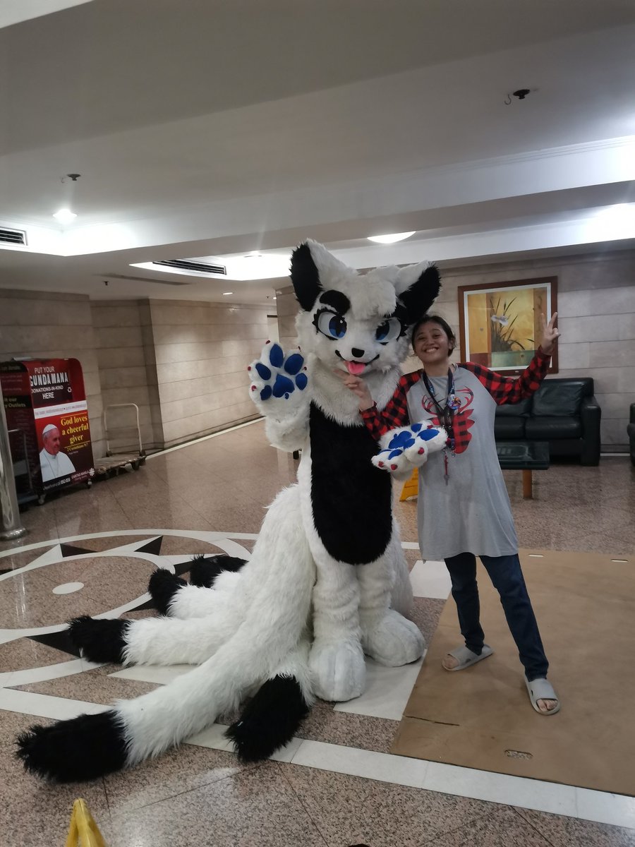 NattosBeans's tweet image. Not my fursona or fursuit.

I made this suit actually for allaister fox but yee I'm a female fursuit maker from the Philippines!