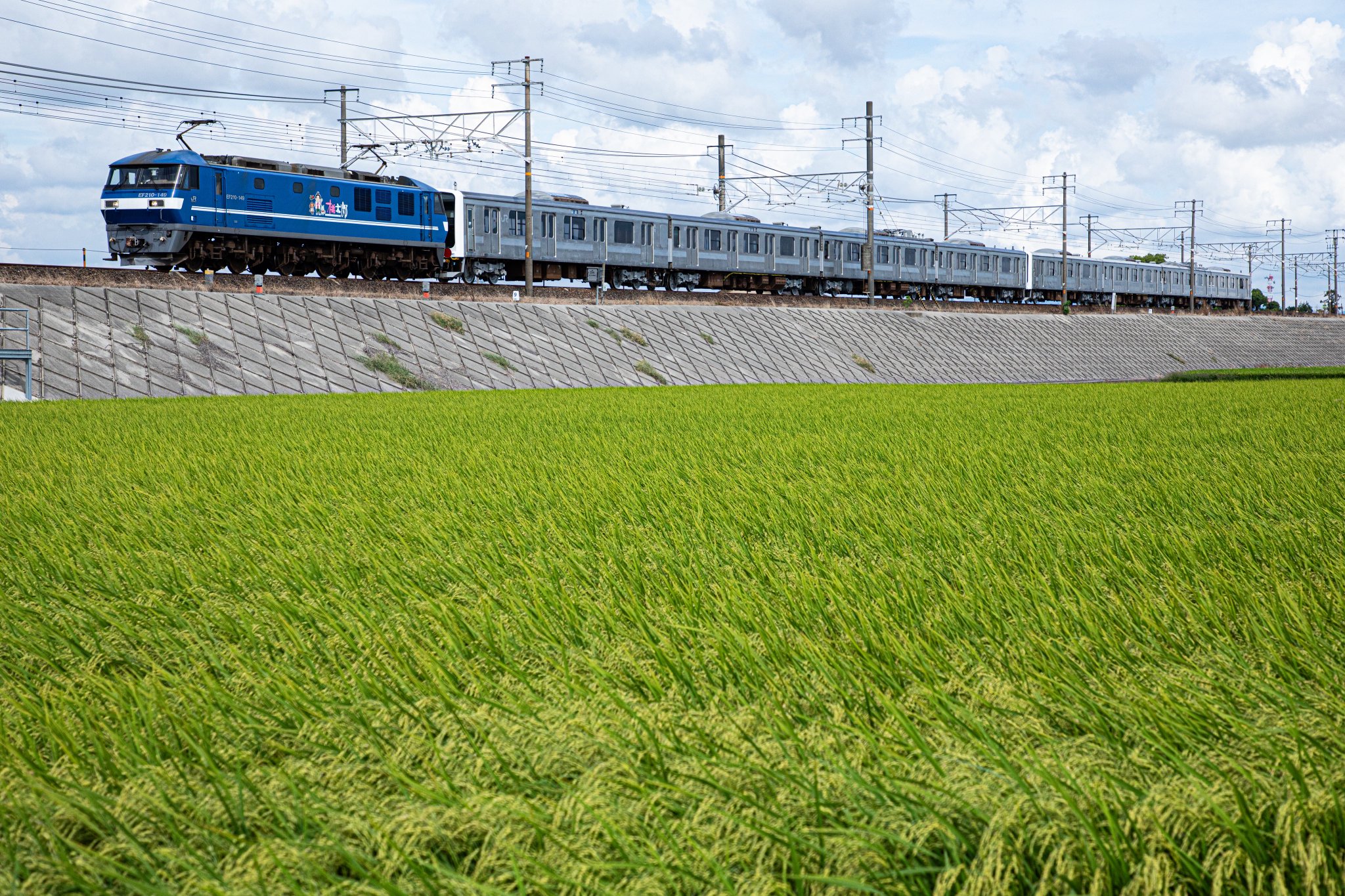 169系 試作車 特殊信号携行函 169系 試作車 特殊信号携行函 169系 試作車 特殊信号携行函