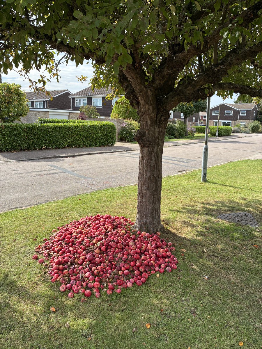 In the words of Isaac Newton: “When I return, there will be signs.”