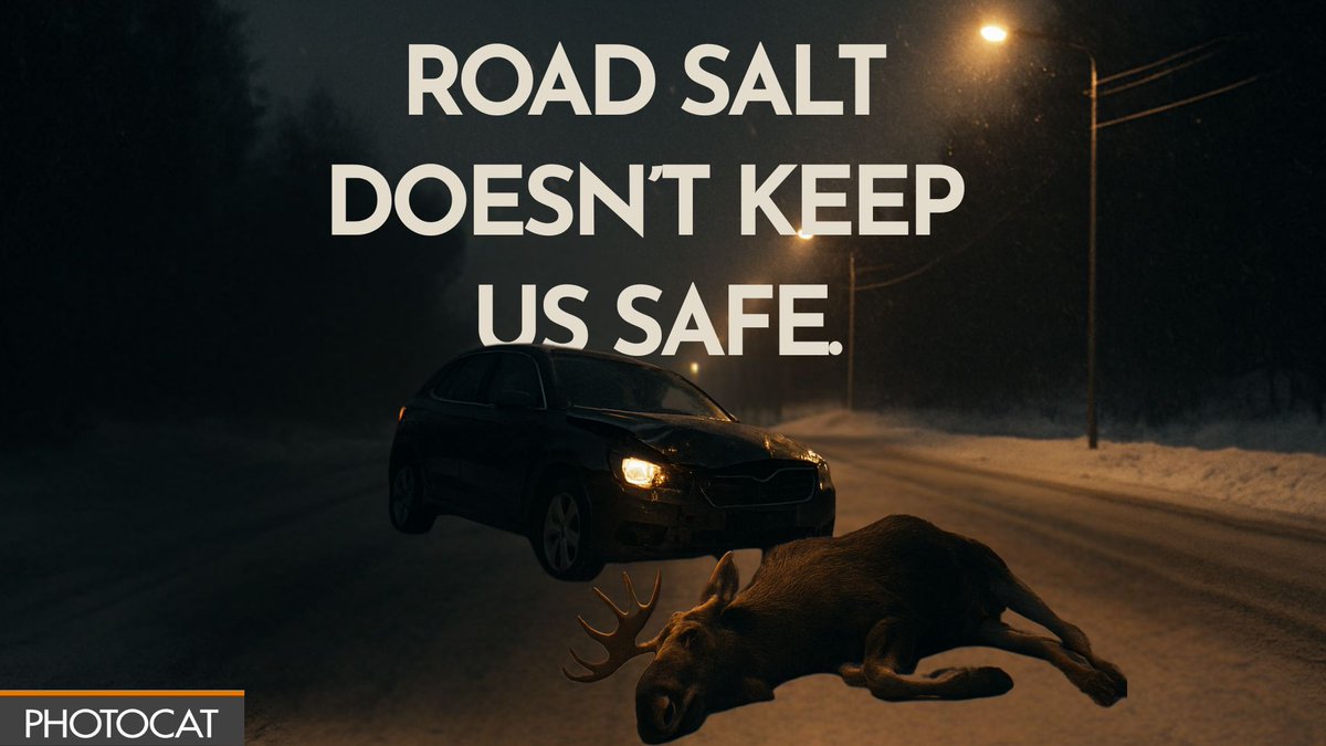 PHOTOCAT_AS's tweet photo. Everybody should know how road salt doesn't keep us safe. It actually attracts animals, which are the cause of most incidents in the nordics. And that's just the tip of the iceberg. Subscribe to our newsletter to know more👉https://t.co/916KiFuIjO https://t.co/fpvU4Qqign