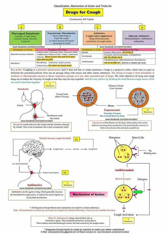 drsthanus's tweet photo. A comprehensive overview of drugs used for cough, categorizing them based on their mechanism of action and offering examples for each class. 

https://t.co/zGaBZzJOuz https://t.co/VdikbUwNPe