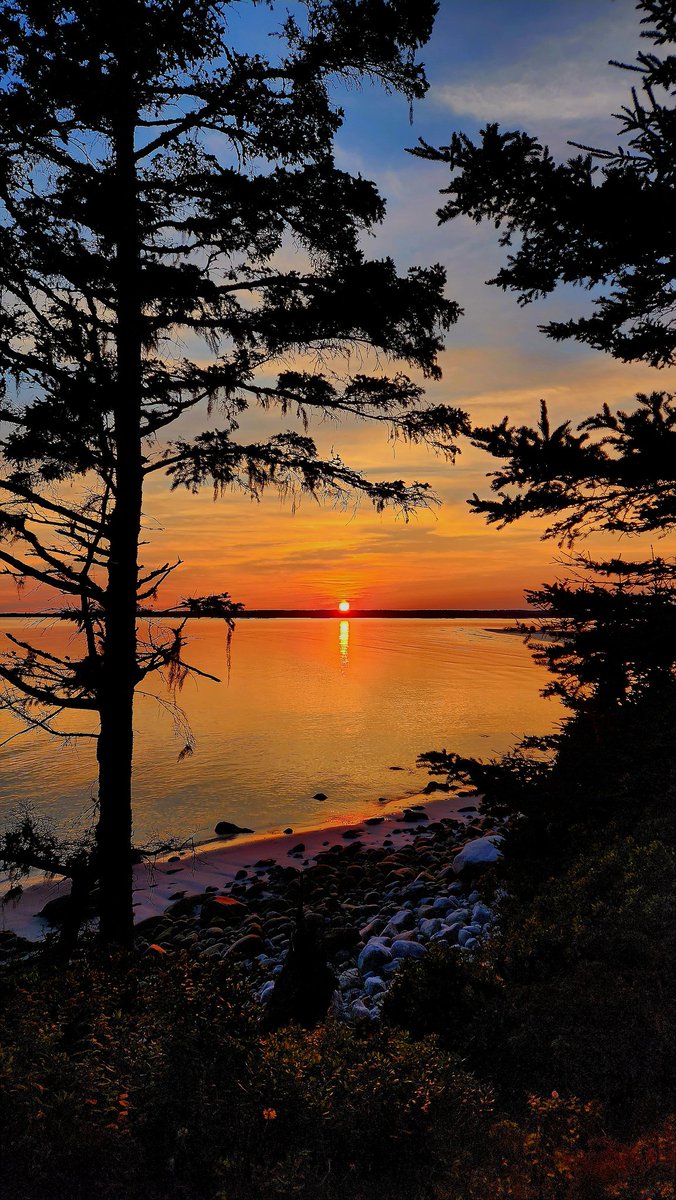 MeL.In.Nature 🩵 tweet media