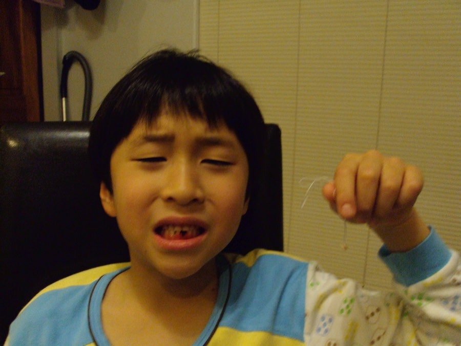 이거진짜귀엽구웃기네