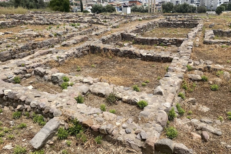 İzmir, Bayraklı’da yaklaşık bir asırdır süren Eski Smyrna kazısı Cumhurbaşkanlığı kararıyla, kazı çalışmalarını yürüten,Prof. Dr Cumhur Tanrıverdi görevinden alınarak mühürlendi, arkeologların erişimi kısıtlandı ve kazı envanterlerine el konuldu.
#faiz
#9Eylül