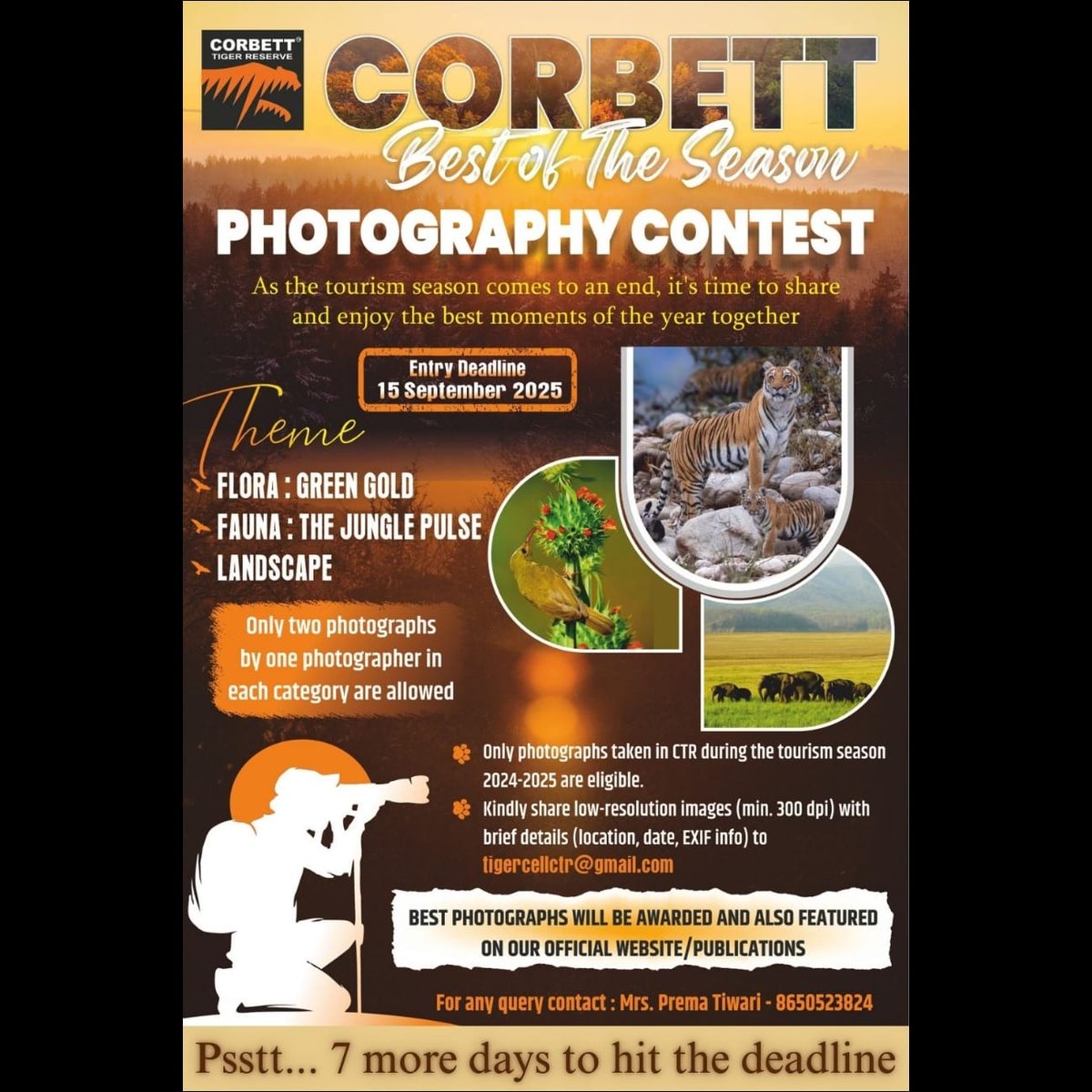 Corbett Tiger Reserve, Uttarakhand - Official tweet media