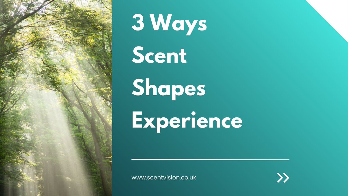 scentvision_'s tweet photo. πΏ Scent is powerful. It can make a huge difference in any space and impact thoughts and emotions.β¨
Weβve shared 3 ways scent shapes experiences, check them out! π
π Plus, donβt miss our Sensamist giveaway. See our recent post to enter!
#ScentVision #Giveaway #HealthySpaces https://t.co/iyqH8u4H3Q
