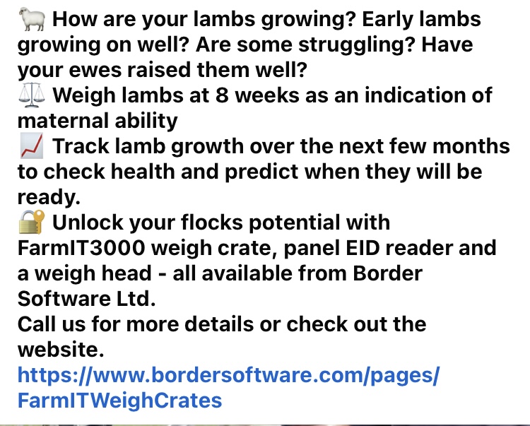 BorderSoftware's tweet image. 💥import/export data to Signet &amp;amp; Sil   
💥#Bordersoftware have developed an understanding of how YOUR data helps you manage YOUR animals to YOUR best advantage #FarmIT3000