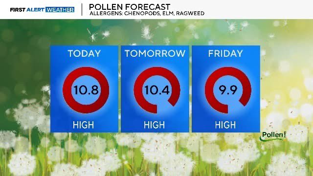 LBostwickWX's tweet image. Good #Wednesday morning☺️ 

It&apos;ll be a little warmer today, with highs back in the 90s. 

It&apos;s an Ozone Action day, if you have any respiratory or heart related illnesses, please limit time outdoors.

#Pollen is high too, main pollutants are chenopods, elm, and ragweed.

#dfw…