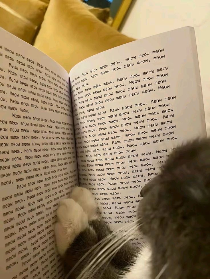 a capa do                                  os atores
roteiro                                        lendo o script 

#CatForCash #FirstKhaotung #เฟิร์สข้าวตัง