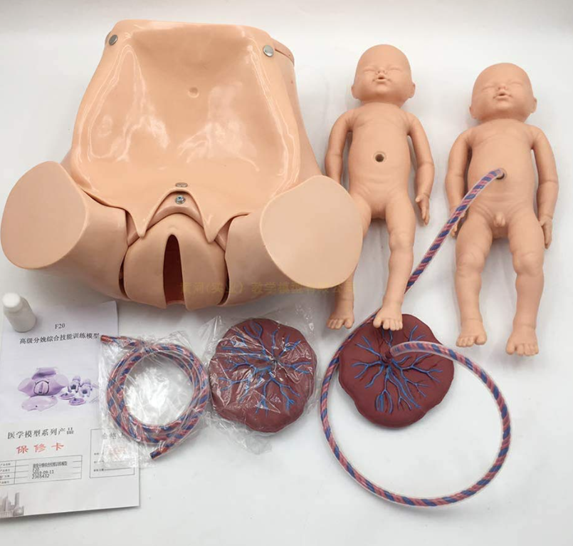 OCTOPUSMEDICA's tweet photo. Childbirth Simulator Obstetrics Formation Model, an invaluable tool for gynecology education. This realistic model features detailed representations of children, uterus, amniotic sac, placenta, and umbilical cord, providing an immersive learning experience. For  students practice https://t.co/cX0da0A2MH