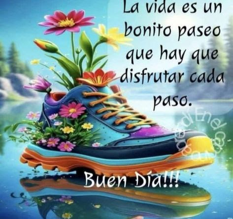 A colorful shoe filled with vibrant flowers, including pink, yellow, and red blooms, growing out of it. The shoe is blue, purple, orange, and yellow, with laces and a reflective water surface below. Text overlays read "La vida es un bonito paseo que hay que disfrutar cada paso" and "Buen Día!!!".
