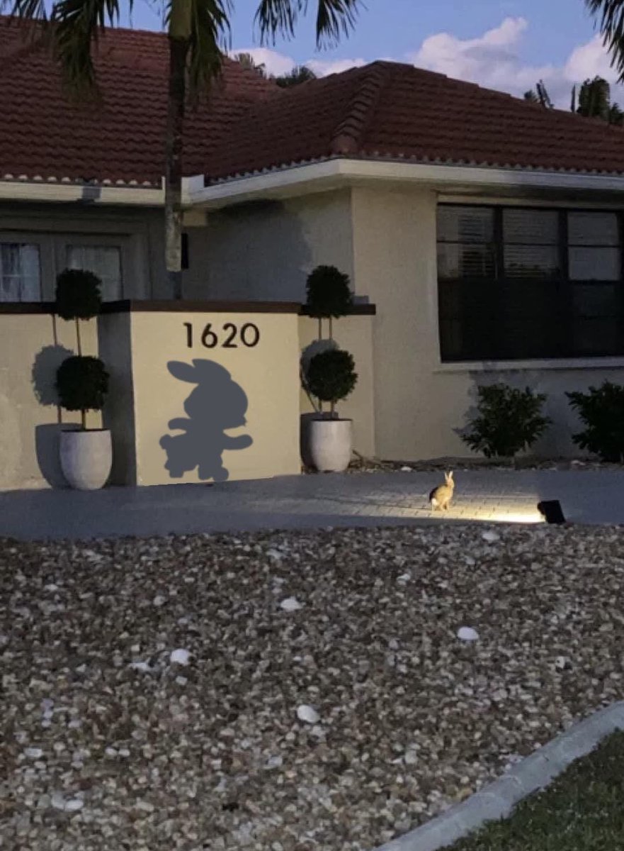 n 🌬️♪ (@dollphams) on Twitter photo 