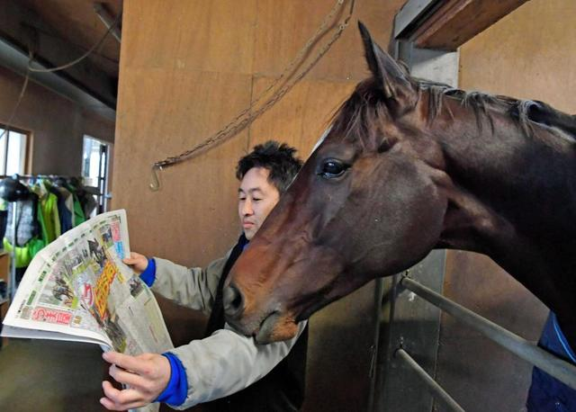 NakayamaFesuta1's tweet image. just Kitasan Black reading his own news article

*photo taken the day after his final run
