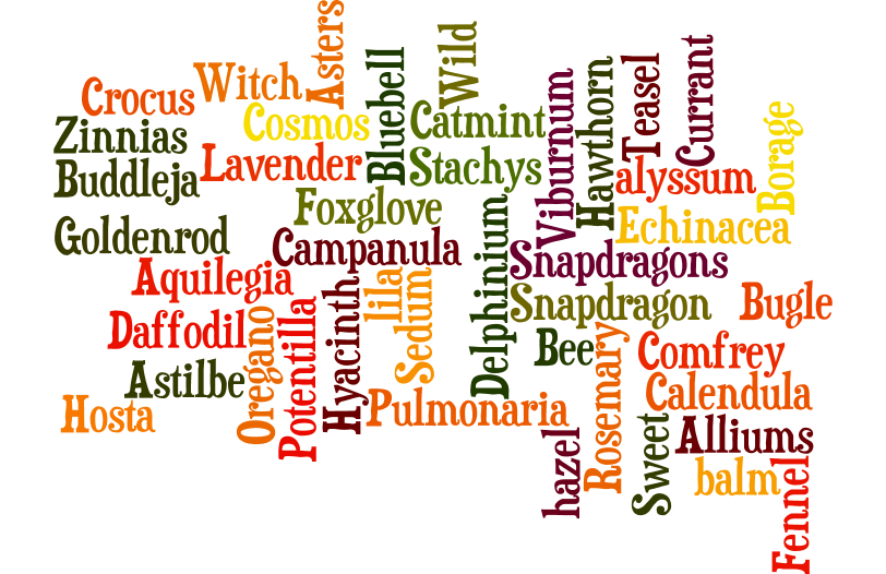 Want to help the bees? 🐝 It's easy!

Plant flowers like lavender &amp; rosemary.

Avoid pesticides.

Leave out water in a shallow dish with pebbles. Every small step helps protect these vital pollinators! 💚
#MacedonianHoney #HelpTheBees #PlantForBees #ProtectNature #EcoAction