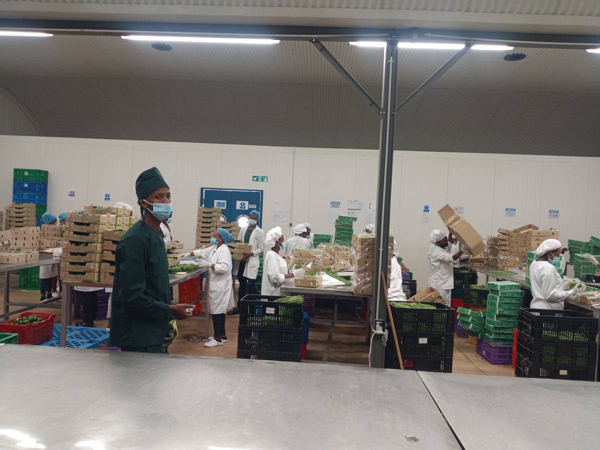 📰 Through field visits and expert exchanges, Rwandan's  Environmental Journalists will explore innovations such as:

Advanced vehicular emission testing technology 🚗

Transition to clean cooking solutions 🍲

Sustainable cooling systems ❄️