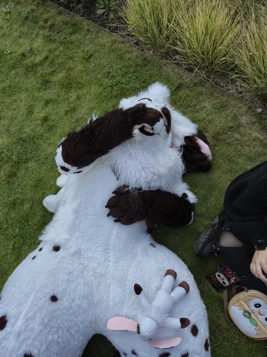 BunsKeel's tweet photo. #Eurofurence was awesome! But this bun got a bit tired towards the end 😅
Bring on next year!💙 https://t.co/faIyS3mrMC