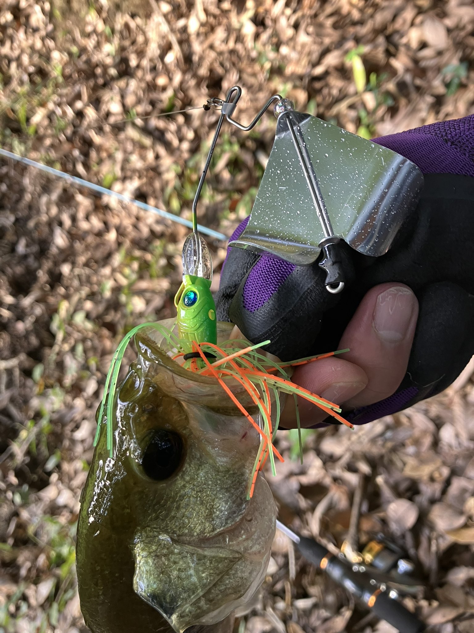 BUTZ (@BUTZbassfishing) / X