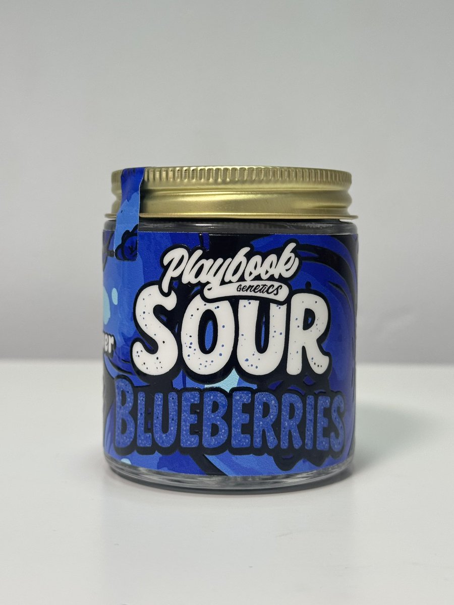Sour Blueberries by Playbook Genetics 🫐