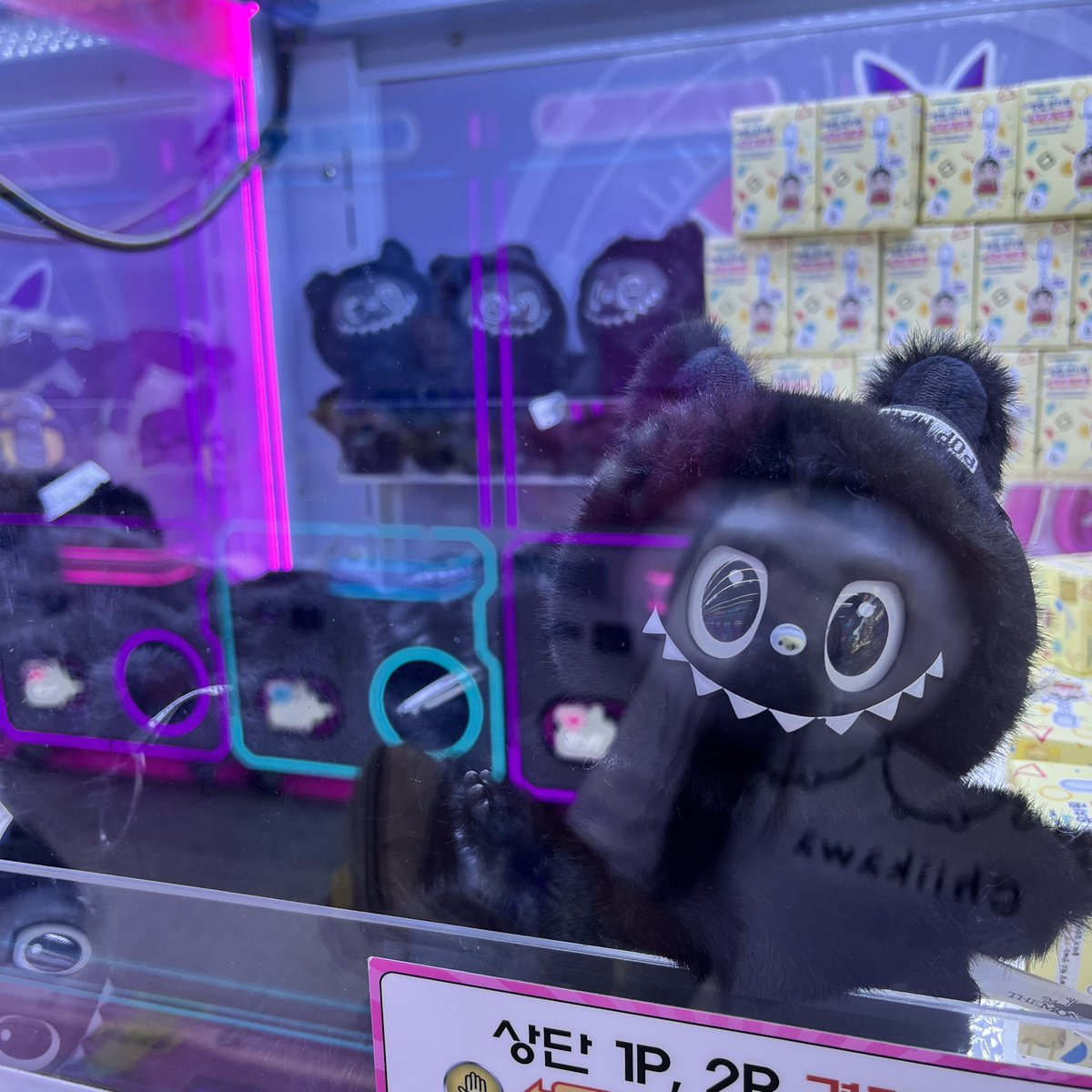 악마의 라부부입니다