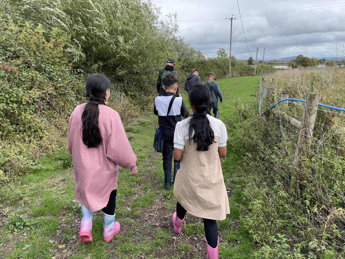 Focus Trust tweet media