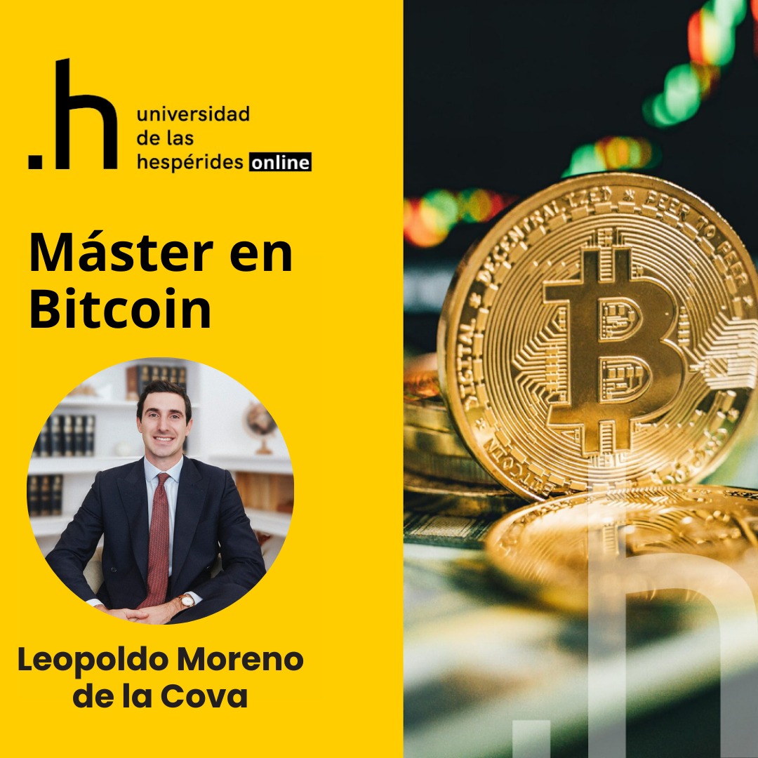 Desarrollo de Negocio con <a href="/leoMCY1/">Leo</a>