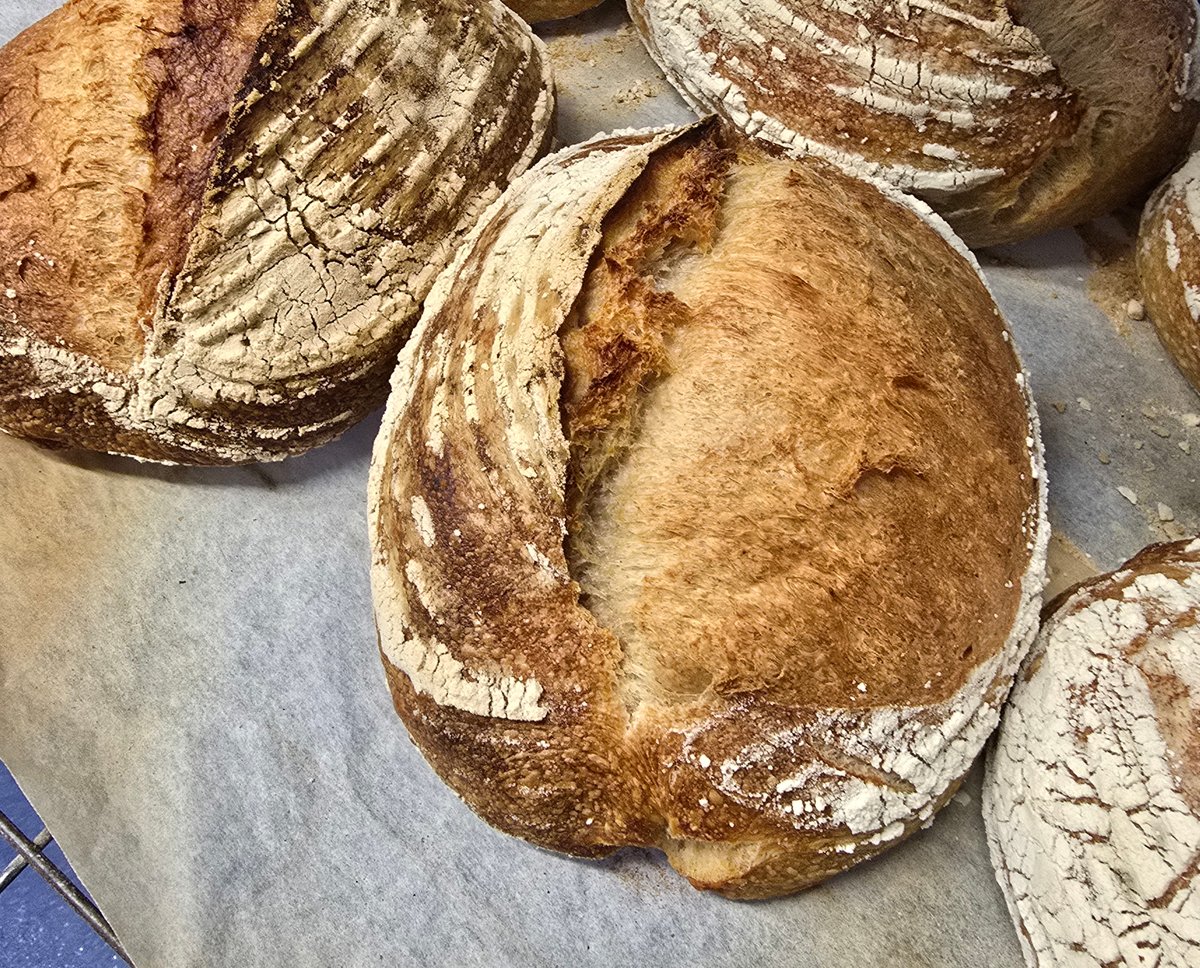 hallettsbakery's tweet image. Handcrafted sourdough ready to fly out across #Devon daily.