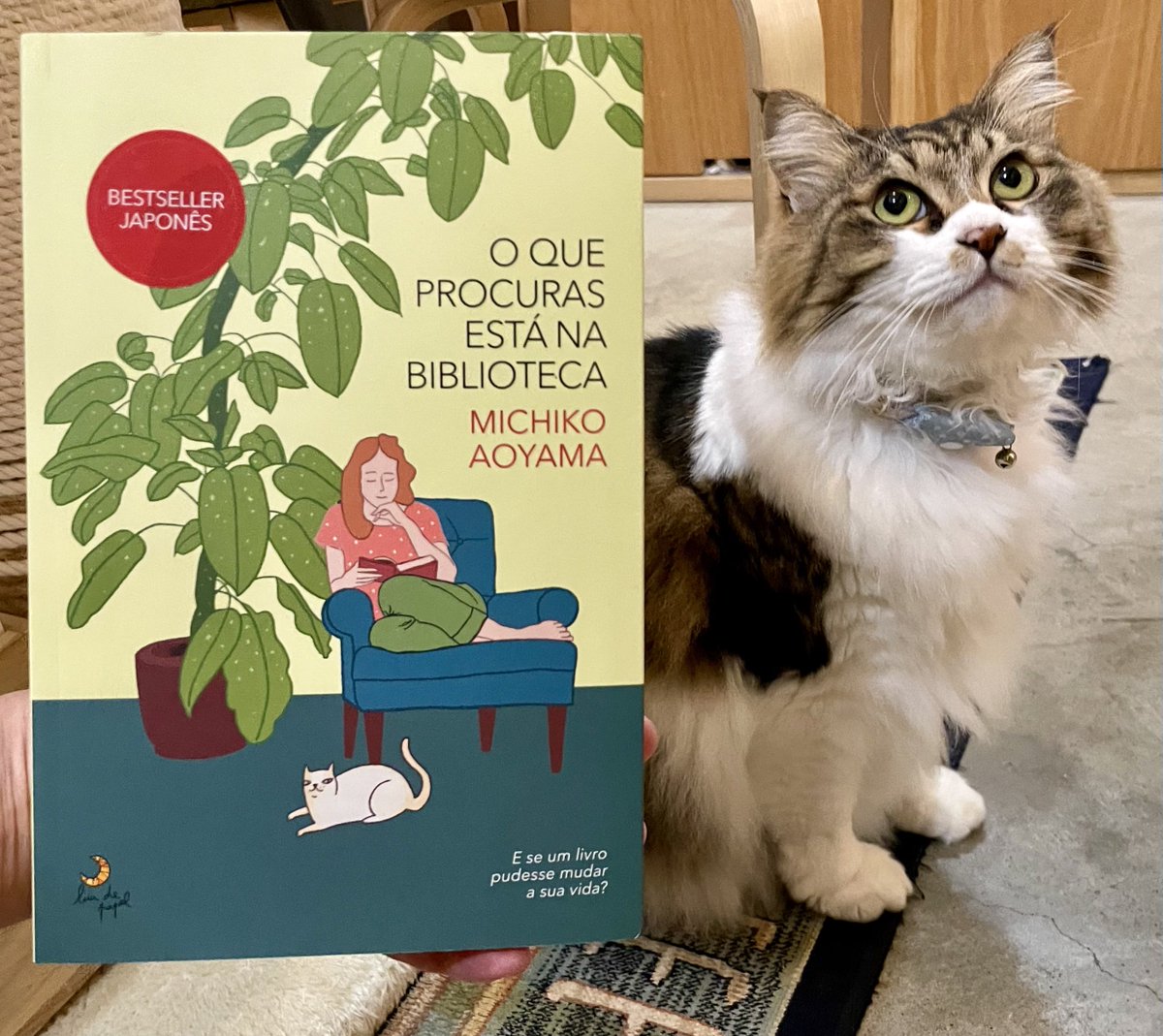 キャッツミャウブックス® (@CatsMeowBooks) / X
