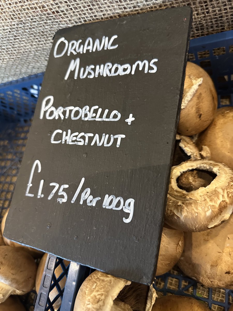 jules serkin tweet media