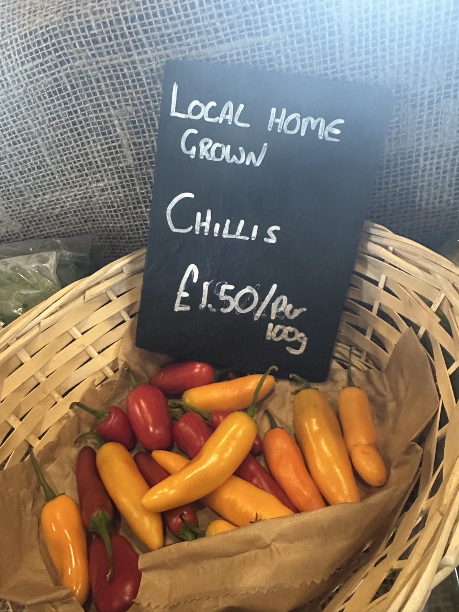 jules serkin tweet media