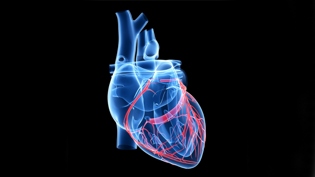 📚 Latest News : "Intensive LDL-C Lowering with Evolocumab Does Not Reduce Early Vein Graft Failure After CABG"

📚 Intensive LDL-C lowering with evolocumab post-CABG fails to prevent early vein graft failure in the NEWTON-CABG trial.

 👉 ow.ly/12SZ106lg1J