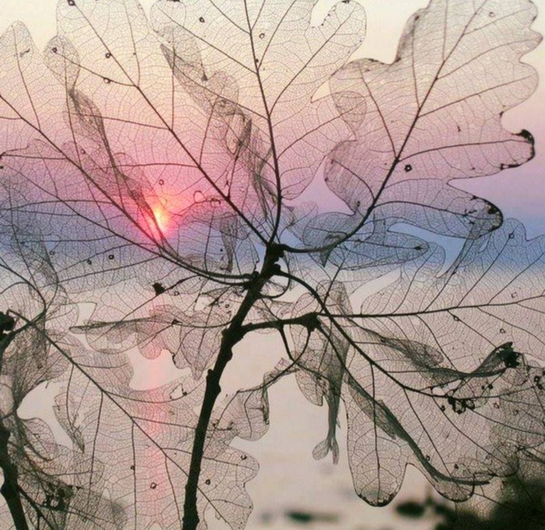 Miep51082958's tweet image. #Fragile