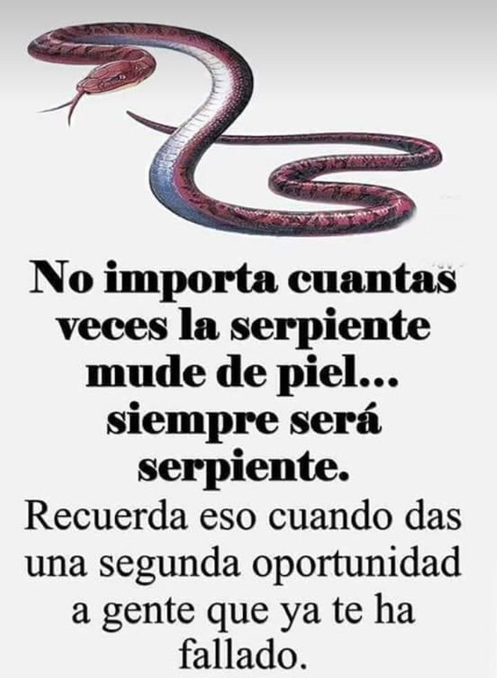 Escuela de Vida (@escueladevida21) on Twitter photo 
