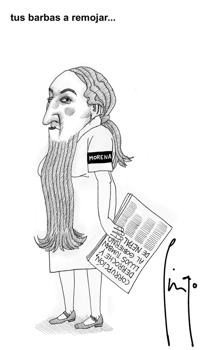 Pingo (@sonpingaderas) on Twitter photo 