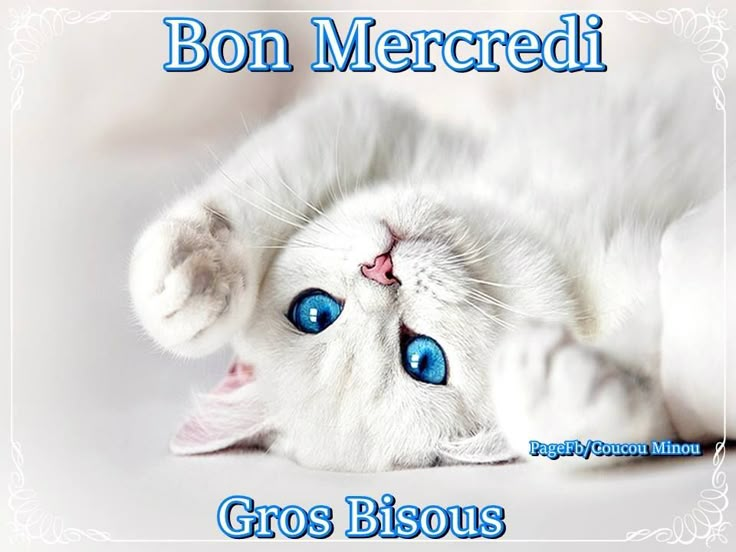 marillion13's tweet photo. https://t.co/ds3Mv4LEZU
#CobyTheCat on screenshot # 1, I´d been following him until the #FCKMeta AI deleted my IG account (03/24) and my 11+ year old FB account (09/24), the deadline to sue #META is long over yet, was 6 months. https://t.co/Pb90exP7rS