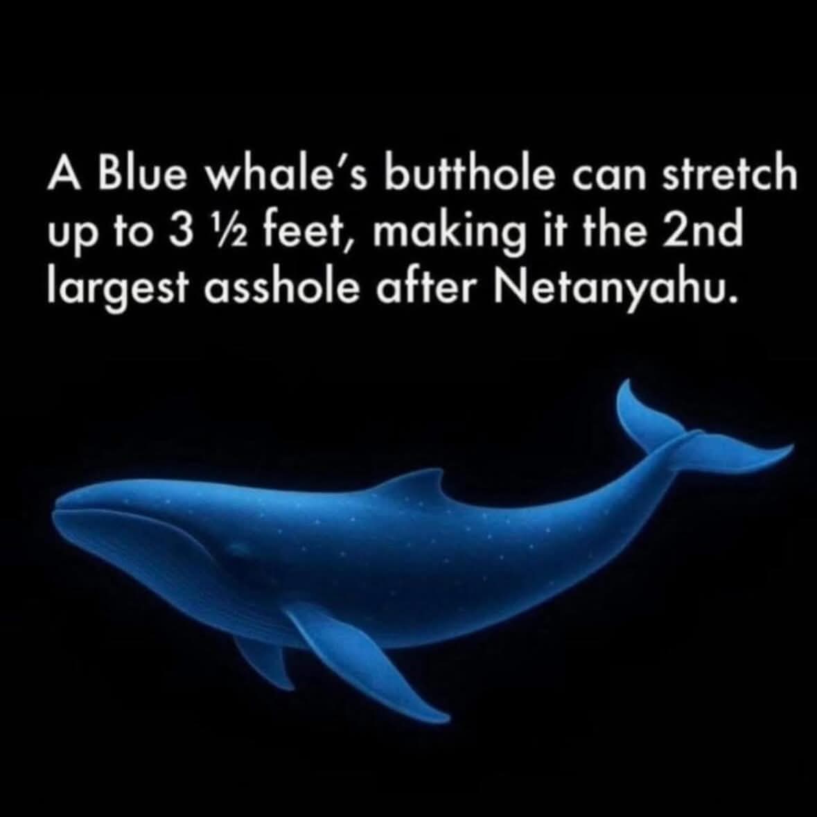 Pardon the french but this was too funny ...😂