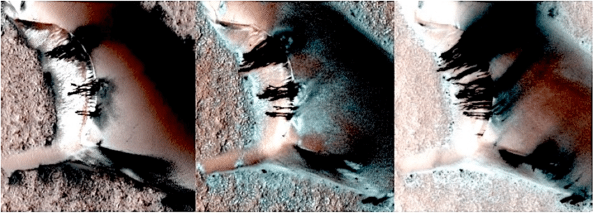 Ashton Forbes tweet media