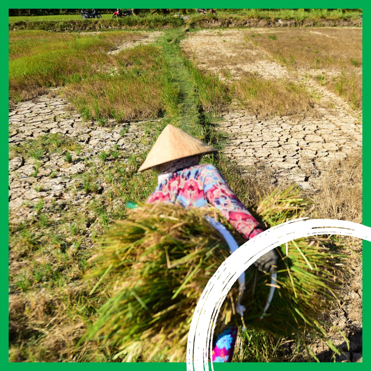 Development is critical for people’s ability to cope with weather shocks and hazards. 
<a href="/WorldBank/">World Bank</a> research shows that a 10% increase in income could reduce the number of people highly exposed to climate hazards by ~100 million.

Learn more in our blog: wrld.bg/tx7I50WUJ01