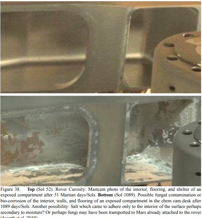 Ashton Forbes tweet media