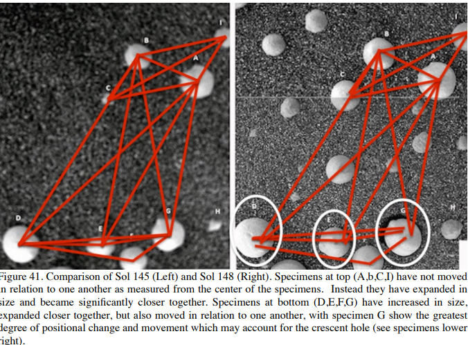 Ashton Forbes tweet media