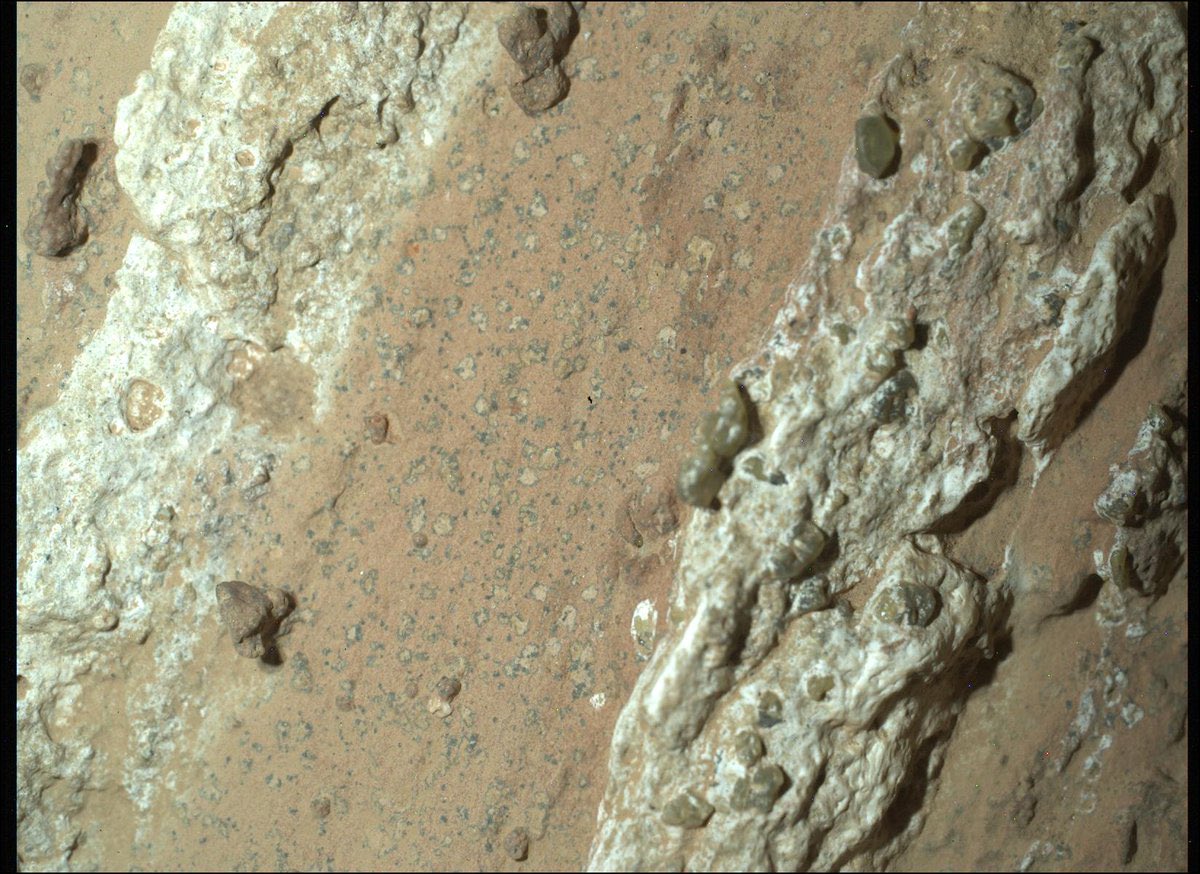 🚨🚨🚨ALERTEEEE (la NASA EN LIVE) : 

Après une année d’analyse, la NASA est plus confiante que jamais : l’échantillon « Sapphire Canyon » prélevé par le rover Perseverance dans une ancienne rivière, ajd asséchée, pourrait contenir des traces d’une ancienne vie microbienne !!!